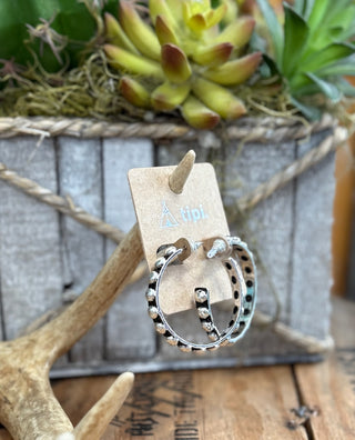 Silver Spur Hoops